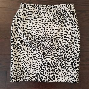 Ann Taylor Loft Skirt